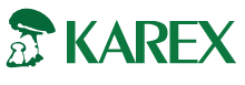 KAREX – hurtowa sprzedaż grzybów i owoców leśnych, świeżych i mrożonych